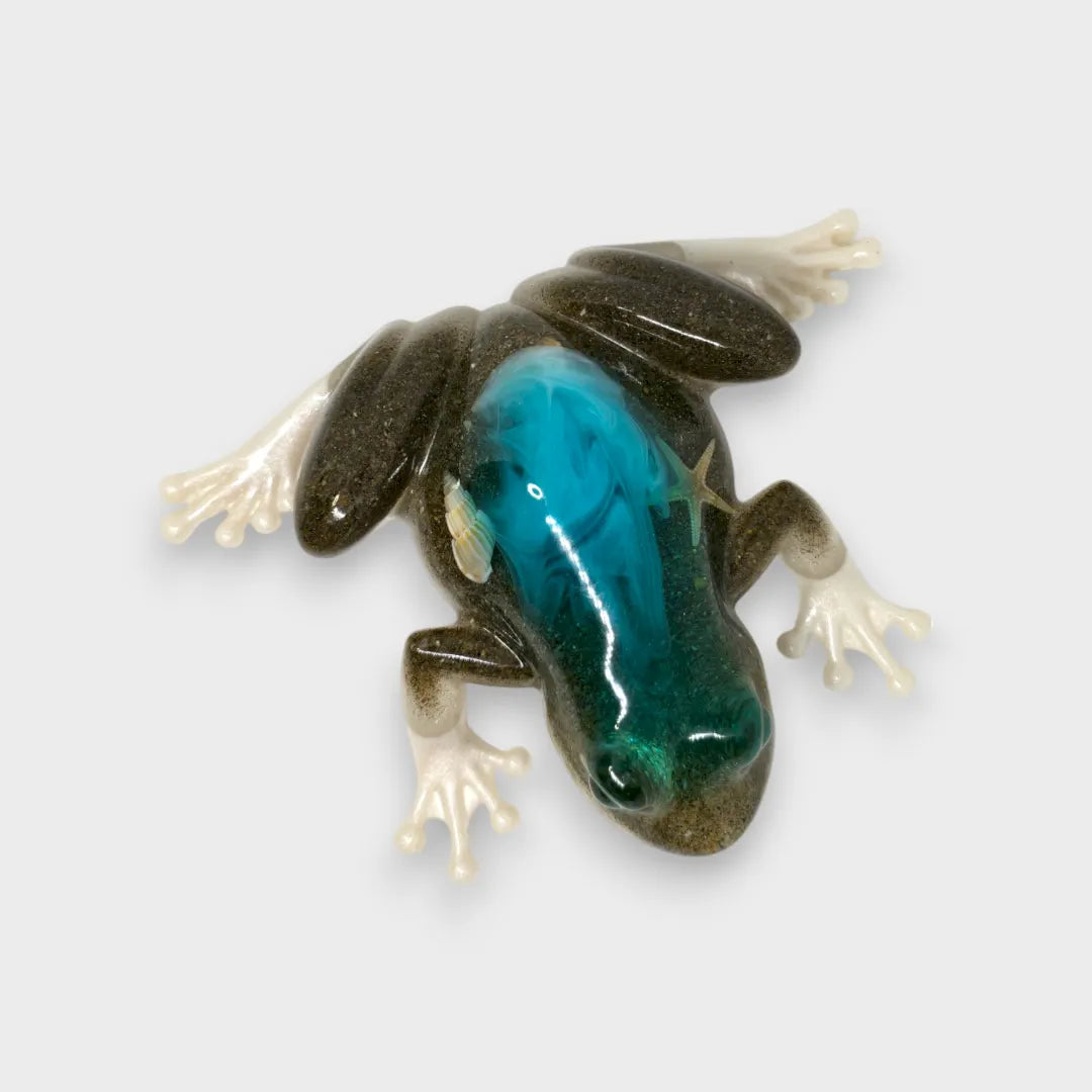 Grenouille Océan Résine Epoxy